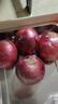 京鲜生 甘肃紫皮洋葱带皮 净重5斤 单果300g+ 新鲜蔬菜源头直发 实拍图
