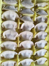 湾仔码头素水饺韭菜鸡蛋饺子1200g72只 早餐 生鲜速食速冻饺子 实拍图