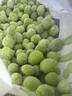 云山半青豆粒1kg 0脂肪0添加剂 新鲜豌豆粒 速冻锁鲜 半加工蔬菜 实拍图