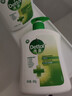 滴露（Dettol）洗手液抑菌滋润450g*2+松木450g*2儿童家庭补充装消毒温和护手 实拍图