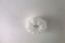 欧普（OPPLE）照明/奶盖啵啵/时尚奶油风吸顶灯Ra95智能白色客卧餐厅套餐 【吸顶】三档调色31瓦卧室 实拍图