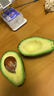 京鲜生智利牛油果 微催熟6粒 单果160g起 新鲜水果 源头直发包邮 实拍图