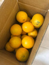 京觅江西赣南脐橙9斤净重橙子特大果220g起手提礼盒甜橙水果源头直发 实拍图