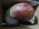 京鲜生杨枝甘露芒果 净重4.5斤 带箱5斤 单果500g+ 生鲜水果源头直发 实拍图