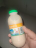 李子园【成毅代言】甜牛奶乳饮料哈密瓜味225ml*20瓶儿童早餐奶送礼黑五 实拍图