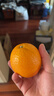 京鲜生 南非进口橙子8斤装 单果约180g起 新鲜水果礼盒 实拍图