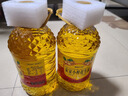 农家自榨花生油正宗炒熟压榨无添加一级食用油25年新油浓香5斤装 10斤 2桶5斤 100纯正花生油无添加 实拍图