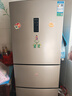 容声253升一级能效三开门小电冰箱家用小型风冷无霜节能出租房宿舍家电国家补贴BCD-253WD16NPA璀璨金 实拍图