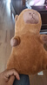 熊猫熊卡皮巴拉玩偶公仔毛绒玩具布娃娃睡觉抱枕土拨鼠生日礼物女生33cm 实拍图