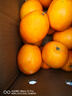 壹棵弘芯正宗高山脐橙橙子应季新果时令湖北新鲜水果手剥橙子生鲜整箱 4.5斤精选一级家庭装 净重约4斤 实拍图