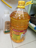鲁花 食用油  物理压榨  非转基因 玉米油6.18L   实拍图