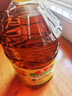 鲁花 【保真菜籽油】食用油 低芥酸特香菜籽油 6.18L   物理压榨 实拍图