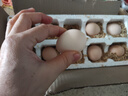 谷物鲜鸡蛋 农户散养新鲜鸡蛋 单枚40g±5 10枚（40克/枚） 实拍图