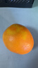 集年鲜赣南脐橙手剥甜橙子新鲜现摘生鲜水果整箱节日送礼 含箱10斤净重9斤优选果（单果160-280g) 实拍图