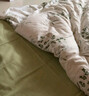 洁丽雅（Grace）7A抗菌100%纯棉四件套新疆棉床上用品床单被套200*230cm1.5/1.8米床 实拍图