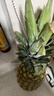 佳农 黑钻菠萝1粒装 菲律宾凤梨 净重2斤起 生鲜水果 源头直发 包邮 实拍图