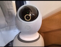 华为智选 800万摄像头监控器360度无死角带夜视全景手机远程语音通话海雀室内家庭用婴儿宝宝看护器雀蛋Pro 实拍图