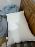 水星家纺枕头枕芯酒店枕头护颈枕头芯家用单个纯棉抗菌可水洗低枕48x74cm 实拍图