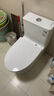 九牧（JOMOO）11176-2-1/31K-1 大力神升级家用马桶虹吸抗菌坐便器305坑距 实拍图