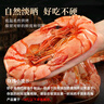 东上御品 国产 即食大虾干烤九节虾干净重1斤【约56-72只】A2-源头直发 实拍图