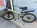 凤凰（Phoenix） 凤凰自行车可折叠山地车路虎男士成年人变速女式越野公路单车 条轮消灰/折叠双避震/全竞速轴承 26寸24速【参考：158-188cm】 实拍图