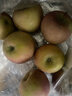 正宗山东红富士苹果丑苹果新鲜水果当季脆甜冰糖心苹果嘎啦果 带箱2斤55mm+ 实拍图