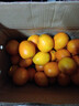 集南鲜 赣南脐橙 江西橙子新鲜现摘水果脐橙时令生鲜水果甜橙 水果礼盒 20斤彩箱 精品橙 净重净重18斤 单果160g+ 实拍图