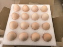 德青源PLUS联名款A+级鲜鸡蛋32枚2.74斤无抗生素 源头直发 1件包邮 实拍图