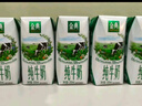 伊利【新鲜日期】金典纯牛奶整箱 250ml*16盒 3.6g乳蛋白 礼盒装 实拍图
