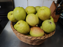 京鲜生 新疆库尔勒香梨 净重8斤 单果120g起 生鲜水果 礼盒装 包装随机 实拍图