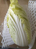 【霜打菜】三宝白菜650g(大娃娃菜) 实拍图