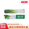 京地达正宗山东章丘大葱9斤礼盒 精品切叶新鲜蔬菜特产源头直发节日礼盒 实拍图