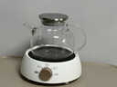 苏泊尔（SUPOR）迷你电陶炉煮茶器煮茶炉煮茶壶养生围炉煮茶茶艺炉泡茶家用办公老白茶黑茶花茶不挑器具SW-DTL01 实拍图