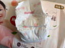 好奇（Huggies）铂金装小桃裤纸尿裤中号M72片(6-11kg)尿不湿【透爽散热】 实拍图