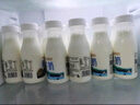 天润（terun）鲜牛奶 巴氏低温新疆纯牛奶全脂早餐鲜奶 烽火台牧场奶源210g/瓶 畅享装8瓶【值！80%选】 实拍图