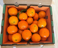 京鲜生 金秋砂糖橘/砂糖桔 5斤 生鲜水果礼盒  实拍图