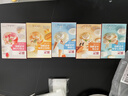 展艺冰淇淋粉手工自制(草莓+海盐+牛奶+杨枝甘露+香草) 500g+冰袋40只 实拍图