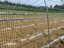 界图 塑料网格防护养殖养鸡围栏网玉米网围栏安全网防护网格护栏围网 1.8米高+3厘米孔+扎带 3.0mm厚(50米/卷)【养鸡养鸭】 实拍图