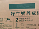 伊利【18天新鲜直达】金典纯牛奶250ml*16盒3.6g乳蛋白 礼盒装  实拍图