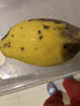 【双十一热卖】玉芒水果芒果新鲜上市 带箱2斤【单果300g+】 实拍图