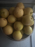 京觅 辽宁鞍山南果梨净重4.5斤单果90g+整箱 南国香水梨水果源头直发 实拍图