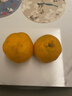 四叔公果蔬四川春见耙耙柑【闪送】粑粑柑橘子桔子丑橘新鲜应季水果礼盒礼品 【黄金酸甜比】15A老树果王｜单果85-100mm 5斤装【80%选择-超值推荐】净4.5 实拍图