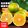 兀果语2025年云南密桔酸桔子当季薄皮橘子孕妇新鲜水果爆汁无核青 10斤 实拍图