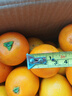 京喜加伦晚夏橙脐橙手剥橙 带箱4斤中果60 实拍图