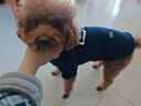 欢宠网宠物狗狗衣服猫咪猫小狗小猫泰迪比熊猫猫小型犬幼犬冬季保暖服饰 实拍图