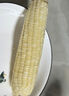 顾果鲜广西白糯牛奶玉米9斤新鲜现摘黏粘棒子带皮生苞米甜嫩农家自种 5斤 实拍图