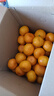 壹萌果蔬临海涌泉蜜桔【顺丰-多地次日达】蜜桔橘子水果中秋礼盒礼品 【金奖-老树果王】丨果径70-80MM【爆甜多汁】 10斤装【家庭畅享-蕞蕞划算】净9斤 实拍图