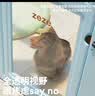 ZEZE狗狗围栏狗窝宠物室内防护栏兔子中小型犬透明狗笼子 实拍图