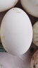百世富泽（BAISHIFUZE）【百世富泽】黄河滩大鹅蛋新鲜正宗土鹅蛋农家自养孕妇超大鹅蛋 12枚130-150克 实拍图