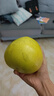 京鲜生 福建琯溪蜜柚2粒 单果净重1.5-2斤 源头直发包邮 实拍图